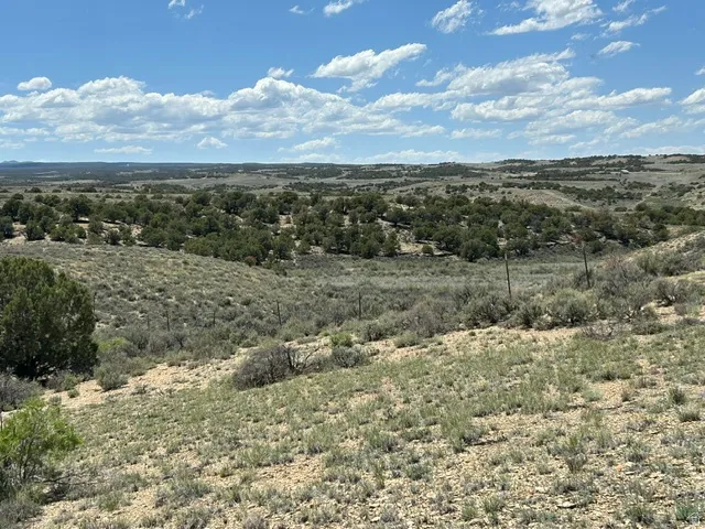 Expansive undeveloped landscape featuring varied terrain and natural vegetation, including scattered trees and brush