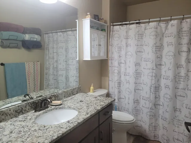 Granite-look countertop with an oval undermount sink, bronze-finish faucet, and coordinating dark wood-finish cabinetry