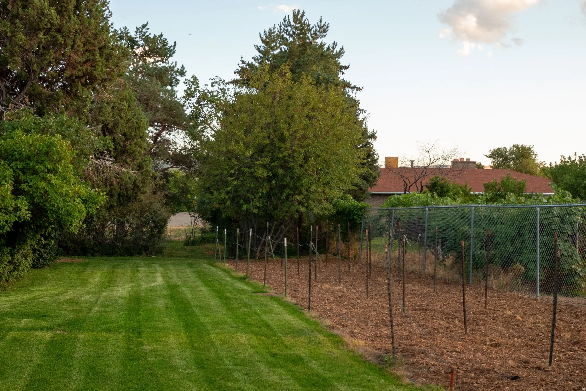Expansive lawn with mature trees and a fenced garden area