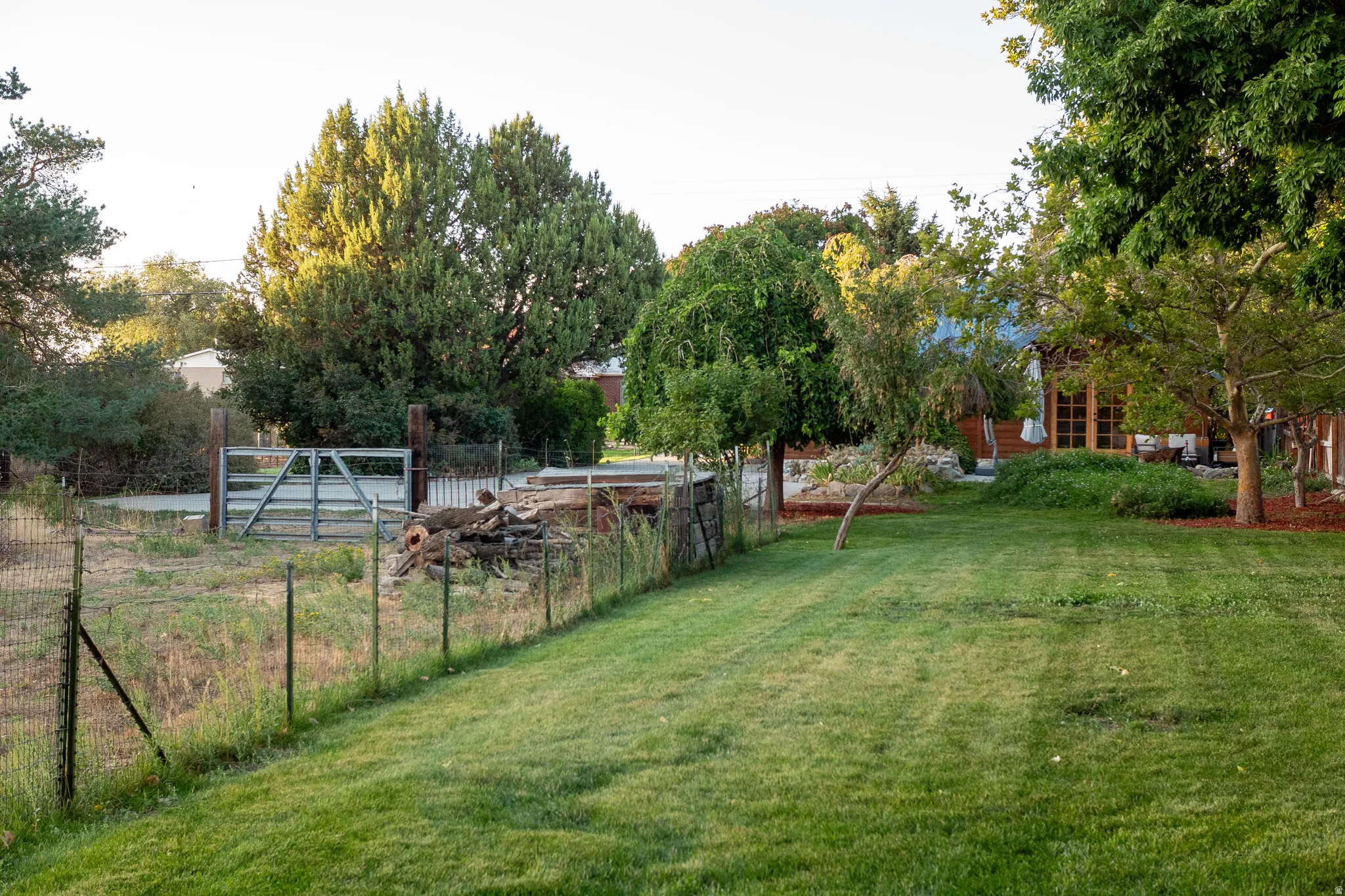 Expansive lawn with mature trees and a fenced perimeter