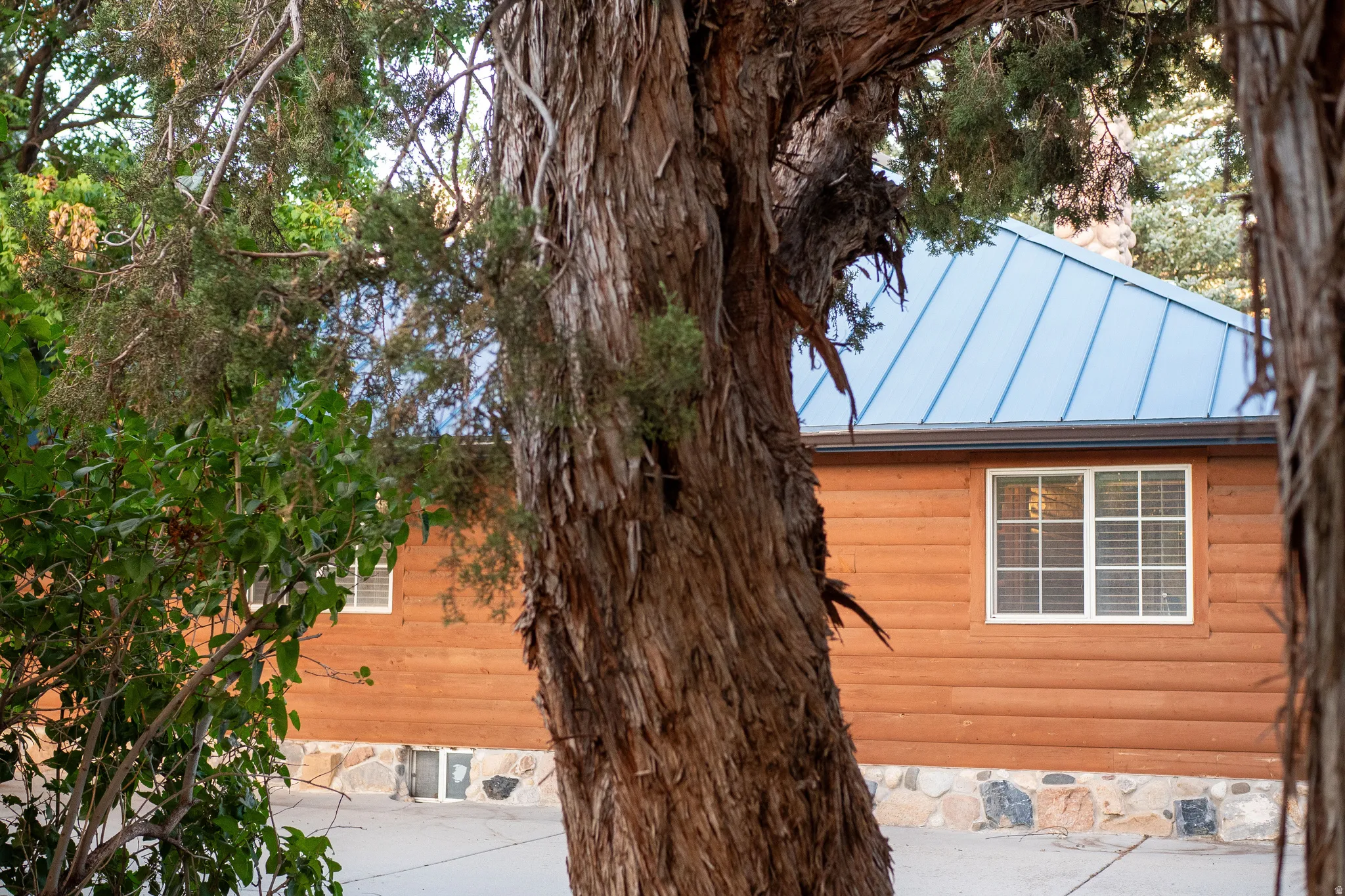 Wood-sided exterior with a blue metal roof, white-framed windows, and stone foundation