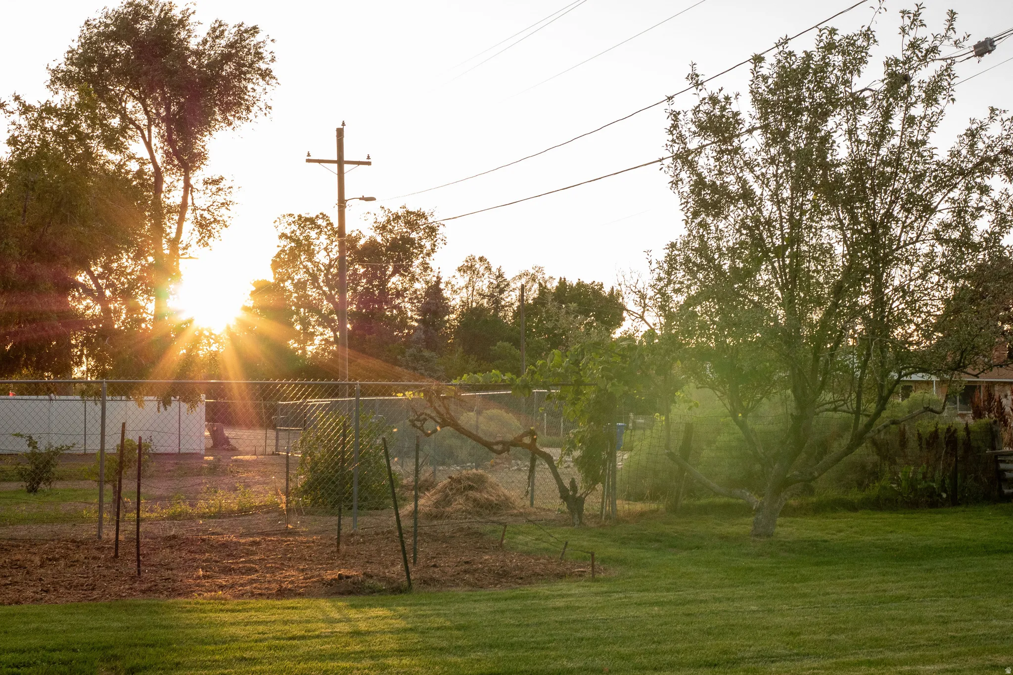 Expansive lawn area with mature trees and perimeter fencing