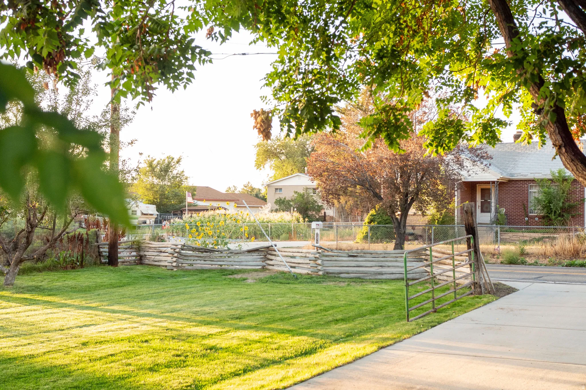 Expansive lawn with mature trees and a concrete driveway leading to the street