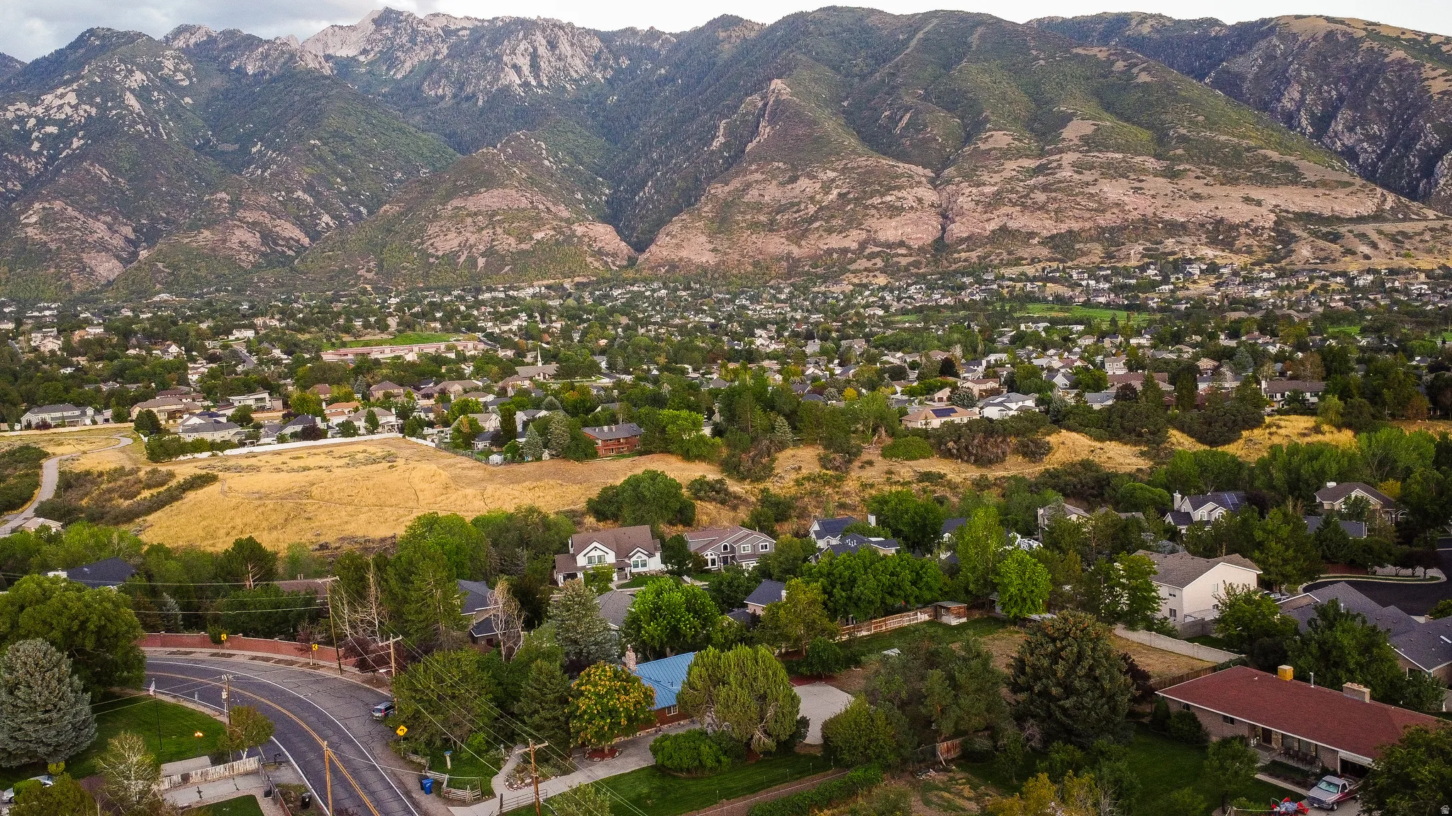 Mountain backdrop overlooking a residential area with mature trees and varied architectural styles