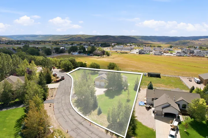 Expansive lot with mature trees, green lawn, and a paved driveway