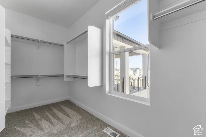 Walk-in closet featuring white built-in shelving, metal garment rods, neutral wall-to-wall carpeting, and a window