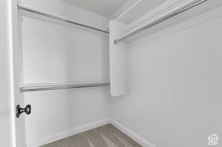 Walk-in closet featuring white shelving, dual-level metal hanging rods, and neutral carpeting