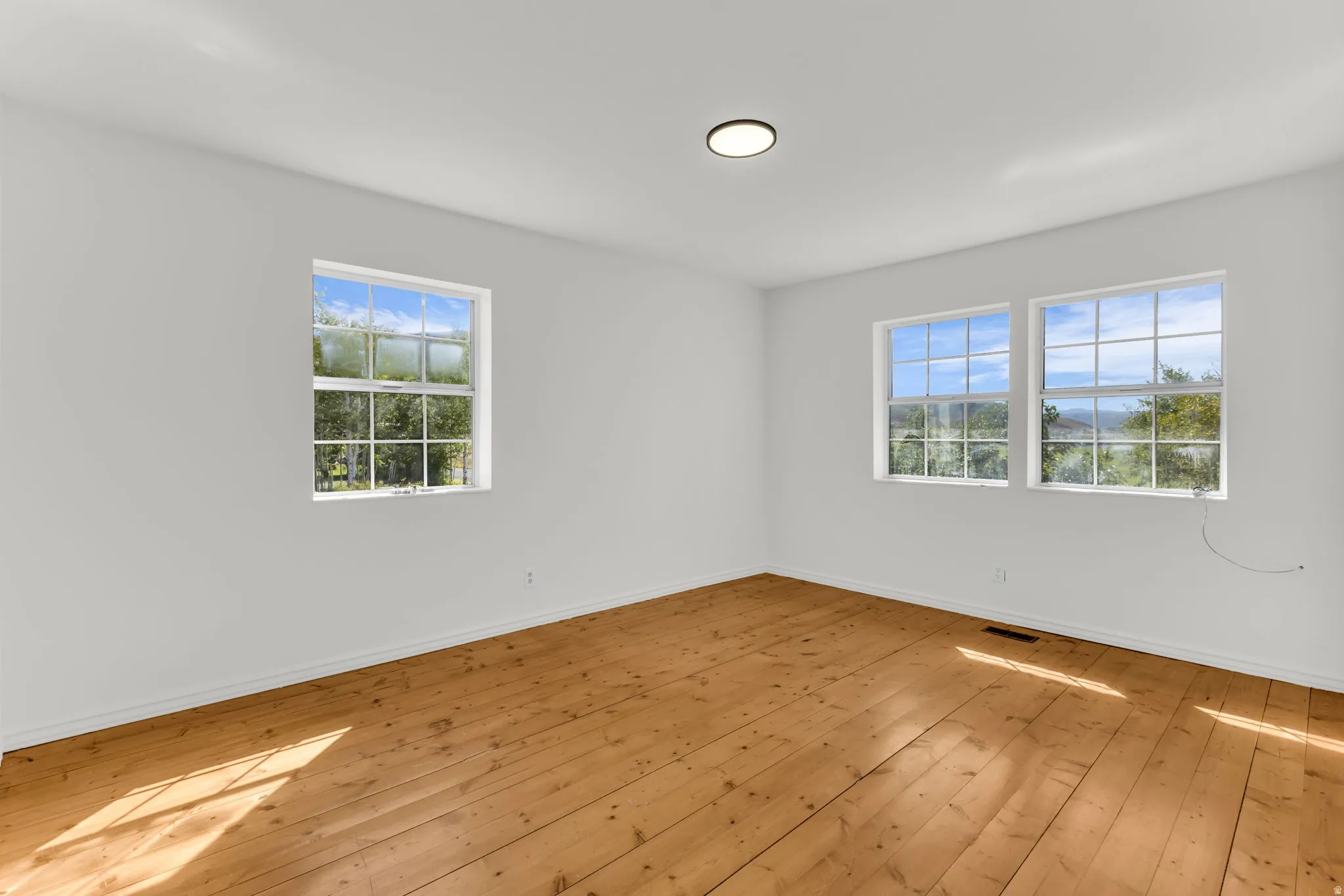 Natural wood flooring, white painted walls, multiple windows with grid panes, and a flush-mount ceiling light