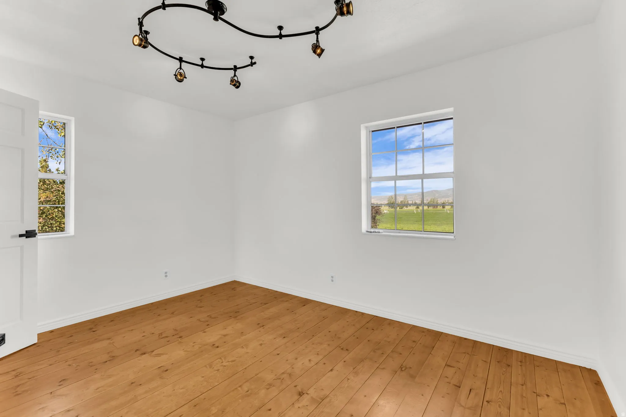 Wood flooring, white paneled door with black hardware, track lighting fixture, and multiple windows
