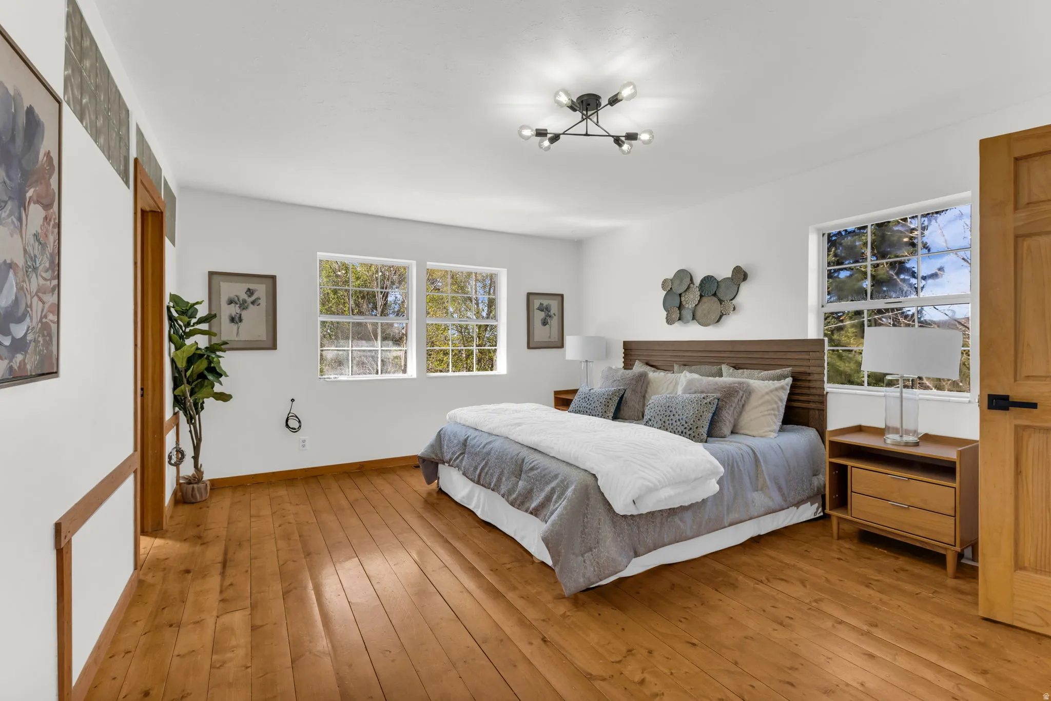 Primary bedroom with hardwood flooring throughout, two large windows, a solid wood door, and a modern ceiling light fixture