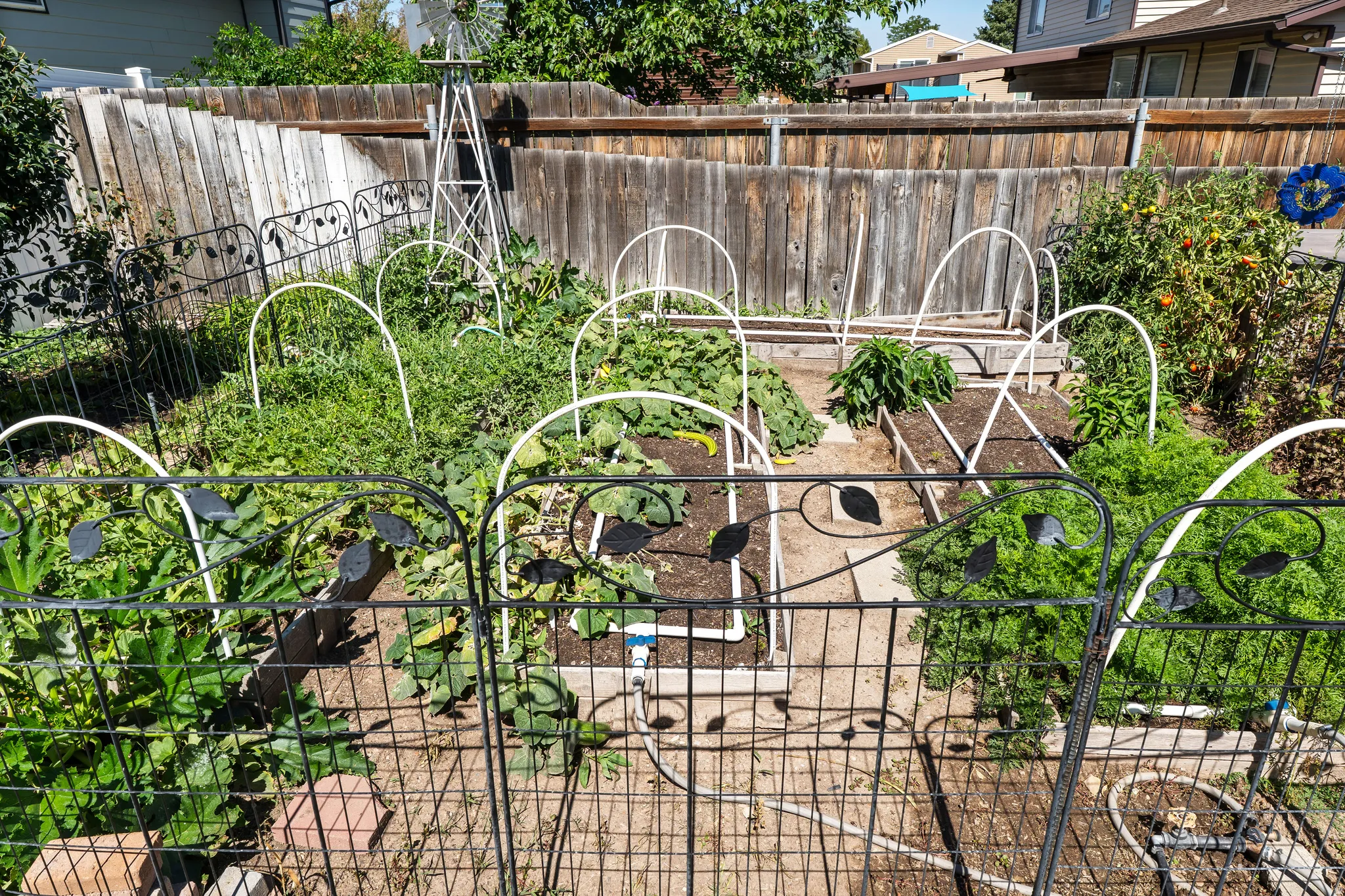 Fenced garden area featuring raised beds and a decorative metal fence and drip watering system
