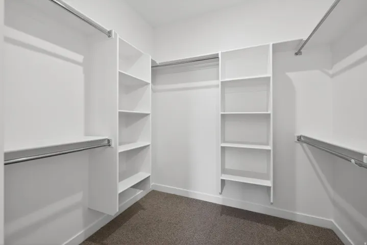White wall-mounted shelving, built-in clothing rods, white walls, and carpeting