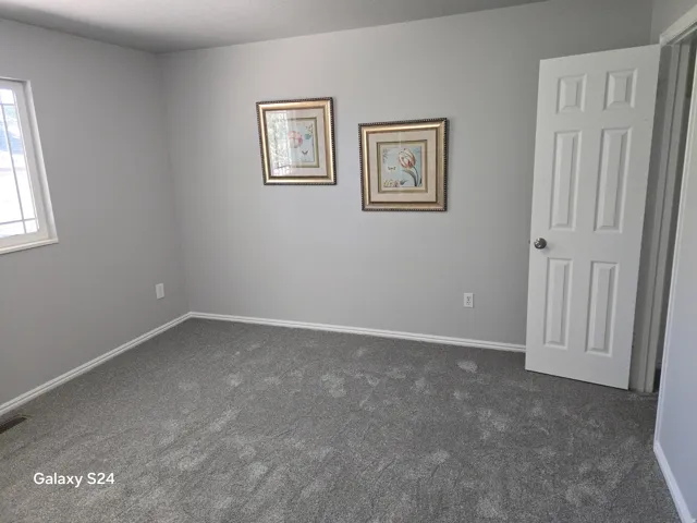 Light gray walls with white trim, gray carpet, and a white paneled door