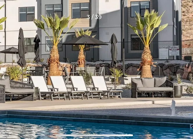 Poolside lounge area featuring a large swimming pool, paver deck, and mature palm trees