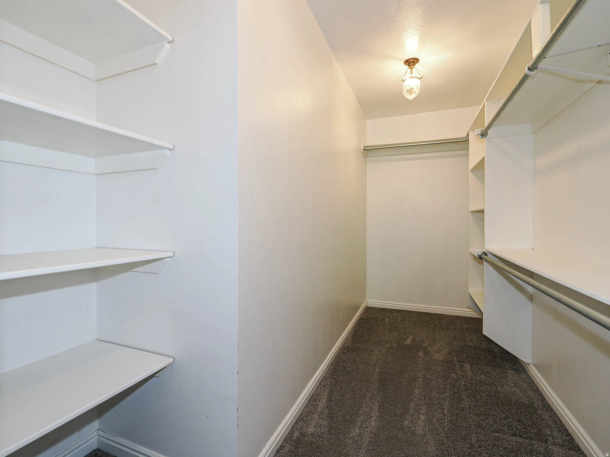Built-in shelving, hanging rods, recessed ceiling light, and carpeted flooring