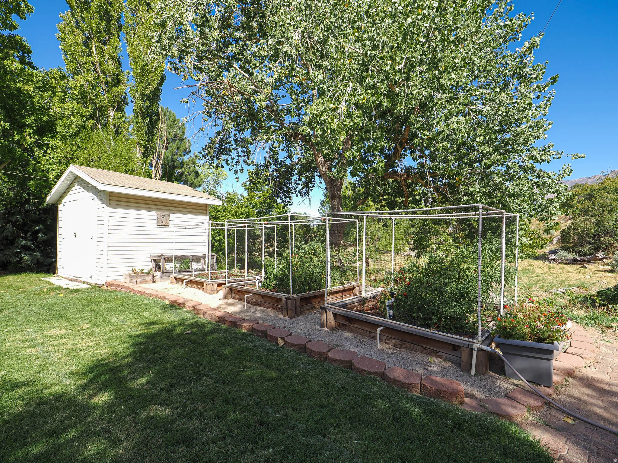 Detached storage shed, raised garden beds with protective framing, mature trees, and a landscaped border