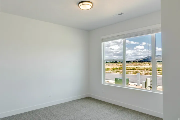 Spacious room with plush gray carpeting, white walls, a large window with horizontal blinds, and a modern flush-mount ceiling light