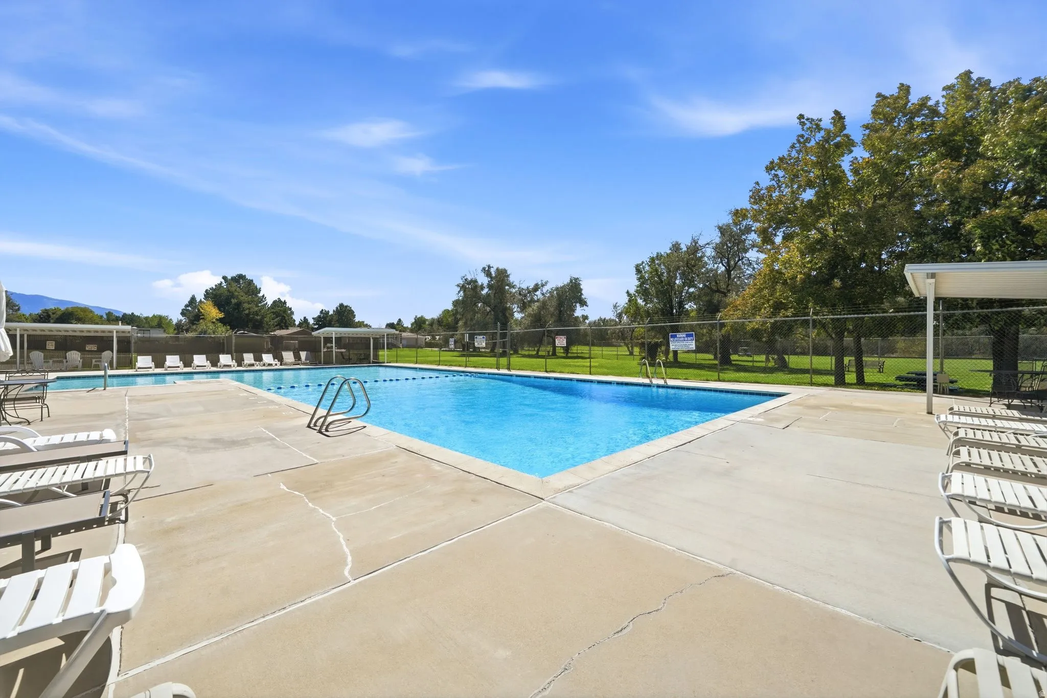 Community swimming pool with concrete decking, surrounding green space, and mature trees