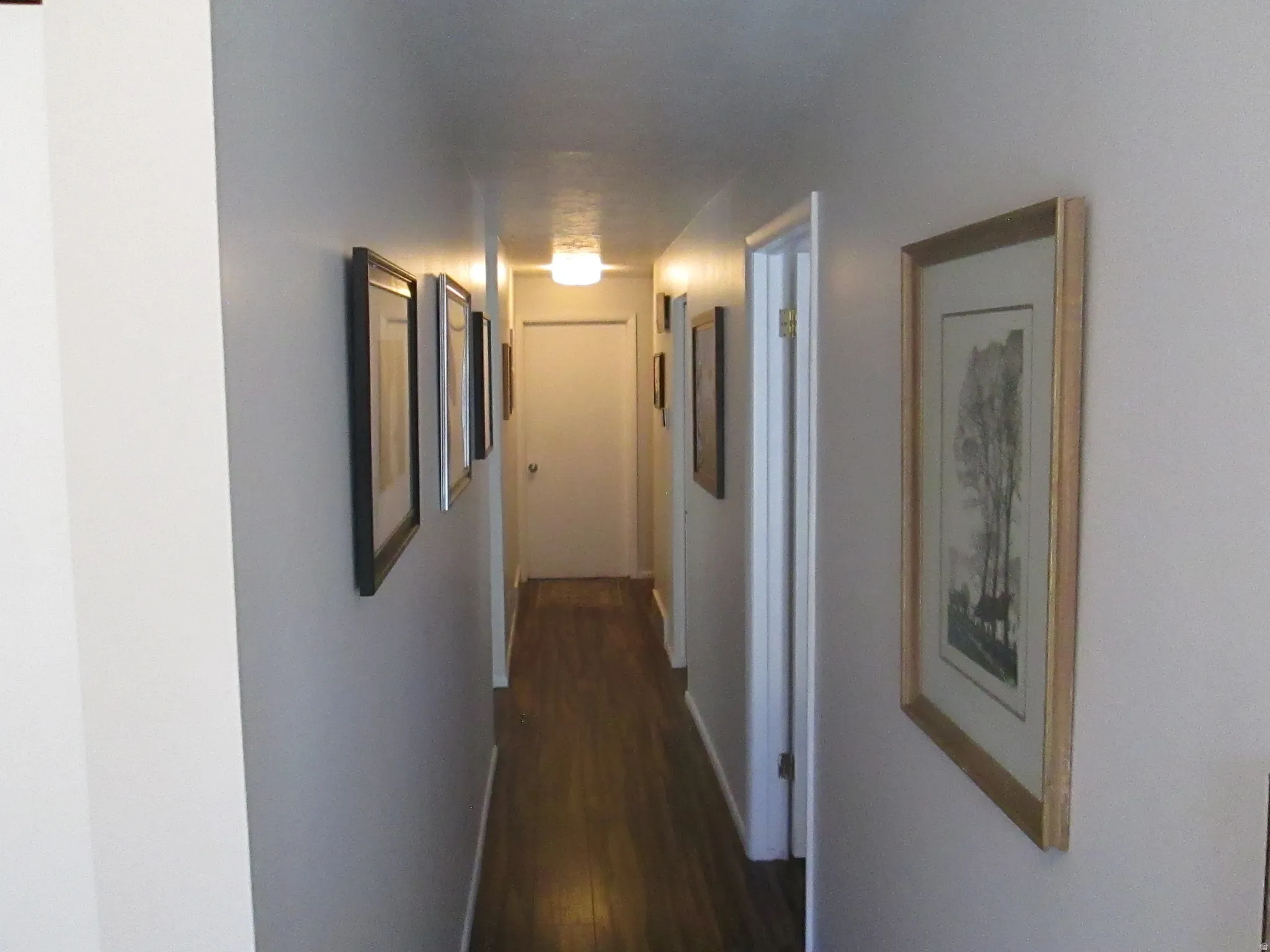 Hallway featuring wood-finish flooring and flush-mount lighting