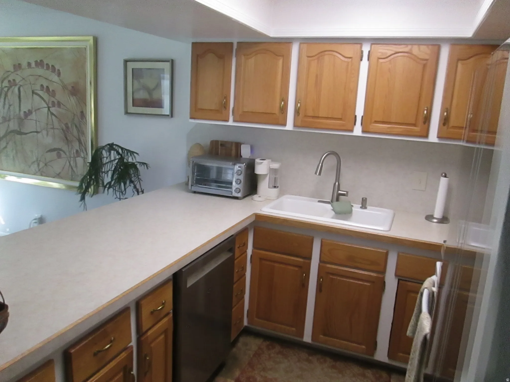 Laminate countertops with integrated sink, stainless steel dishwasher, and wood-finish cabinetry