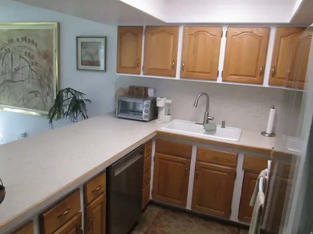 Laminate countertops with integrated sink, stainless steel dishwasher, and wood-finish cabinetry