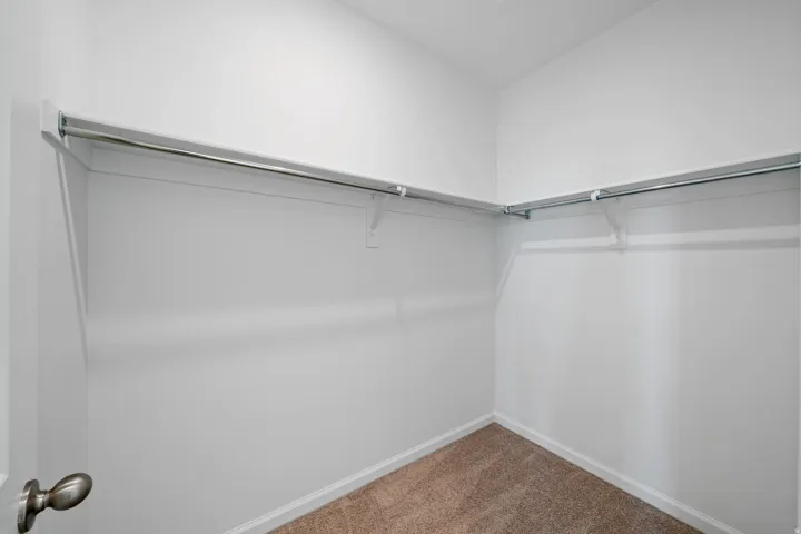 Walk-in closet with carpet flooring, white walls, and built-in shelving with hanging rods