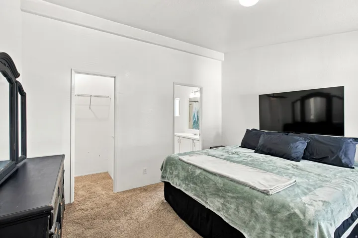 Carpeted bedroom with a walk-in closet, ceiling-mounted light fixture, and an attached bath featuring a vanity
