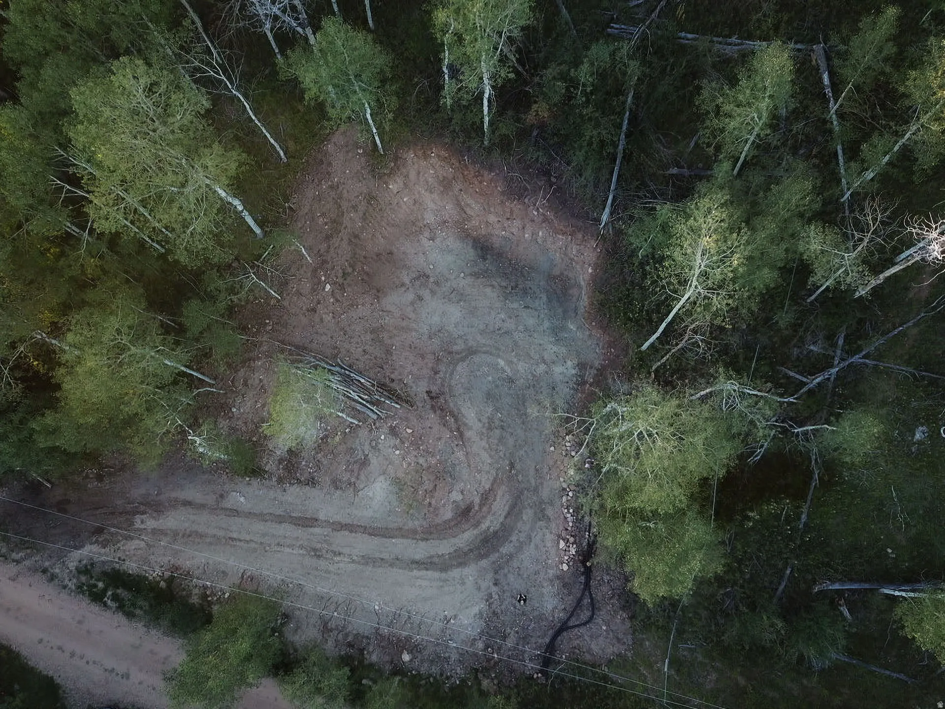 Cleared lot with surrounding mature trees and a graded access path