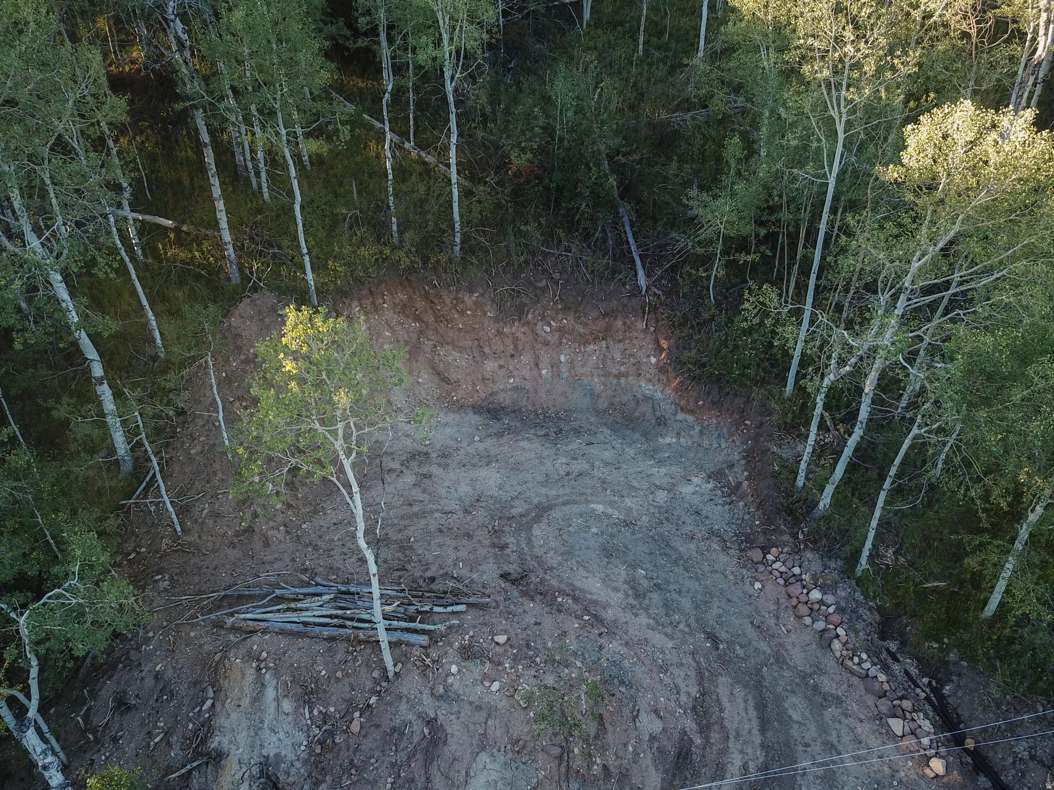 Cleared building site surrounded by dense woodland