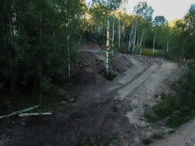 Wooded lot with mature deciduous trees and a dirt access road
