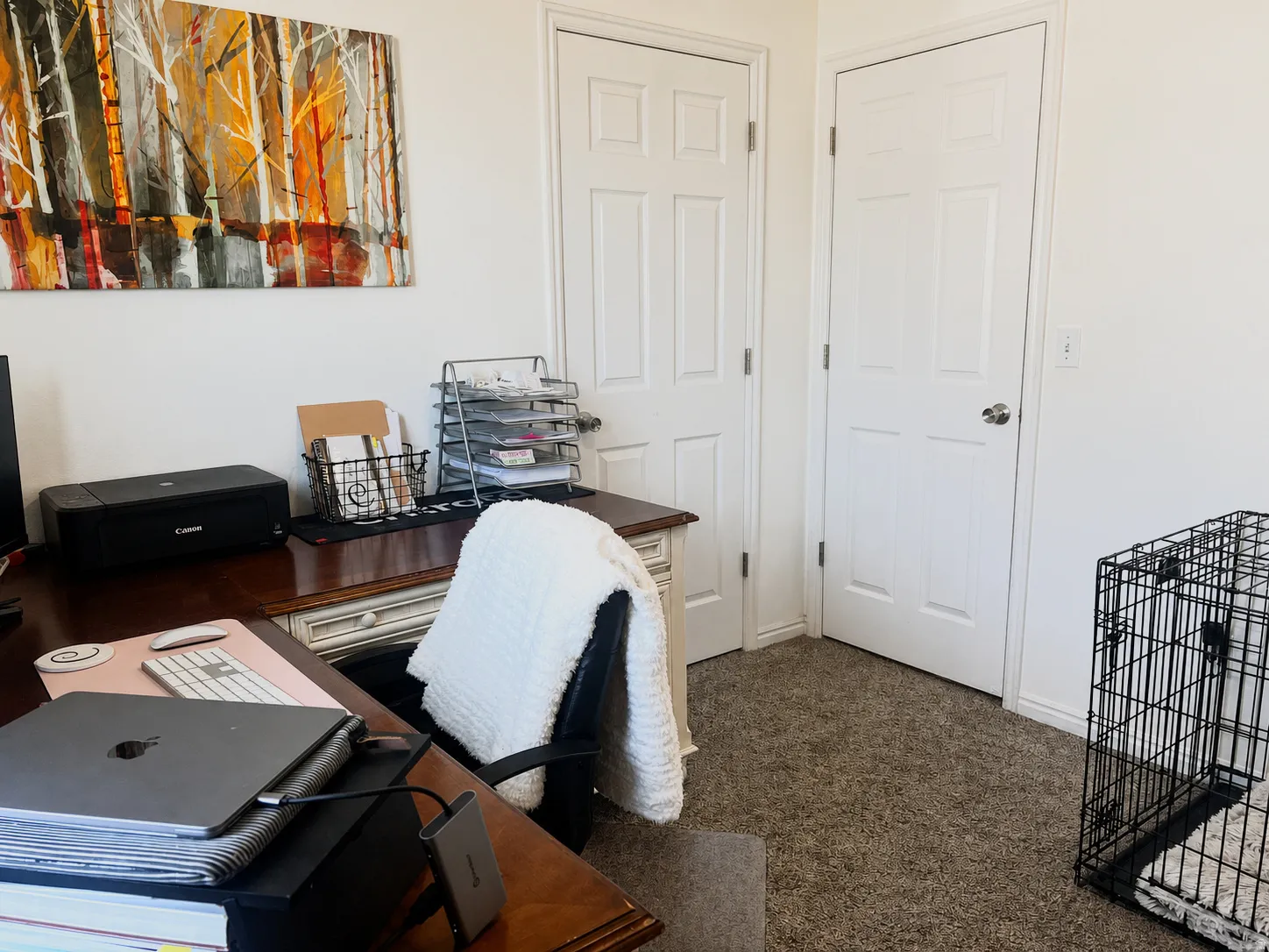 Carpeted room featuring multiple panel doors and white painted walls