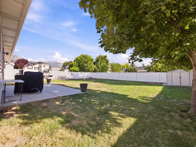 Expansive backyard featuring a concrete patio, mature trees, and a full-height privacy fence