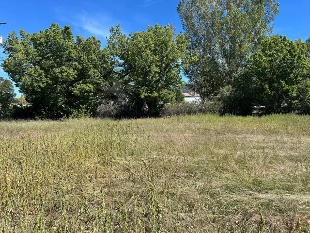 Expansive lot featuring mature trees and natural vegetation
