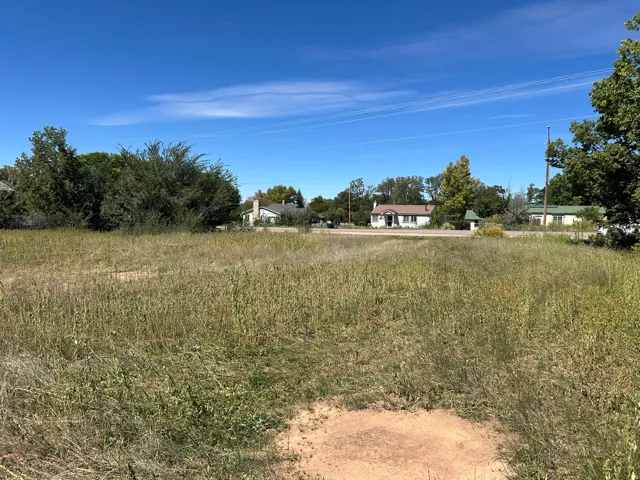 Expansive undeveloped land featuring mature trees and clear skies