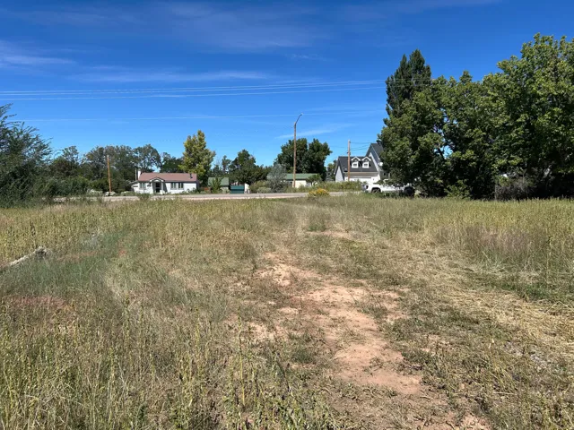 Expansive undeveloped lot with natural ground cover