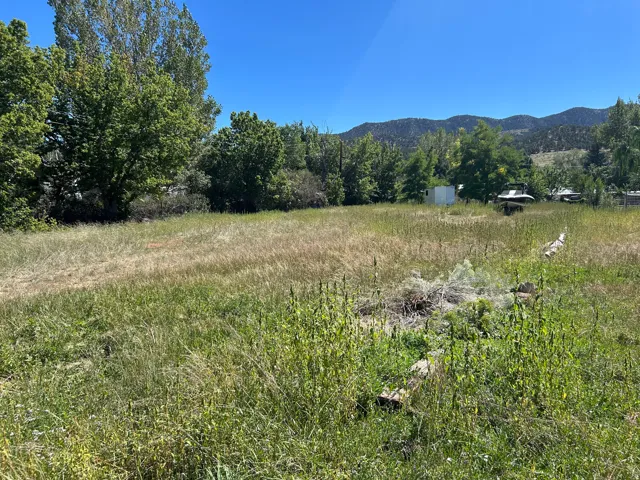 Expansive grass field with mature trees and a distant mountain landscape