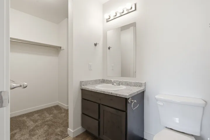 Built-in vanity with a stone-finish countertop and undermount sink, mirrored medicine cabinet, and a walk-in closet with carpet flooring
