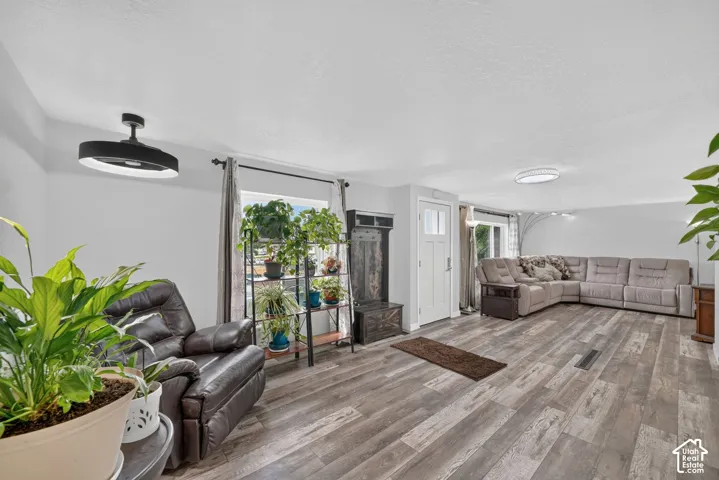 Wood-finish flooring throughout, a white paneled entry door with clear glass inserts, and a modern flush-mount light fixture