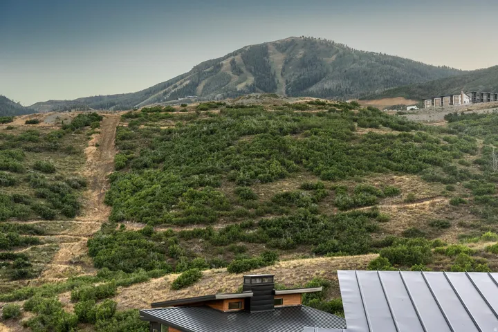 Mountainous backdrop with distant structures and varied foliage