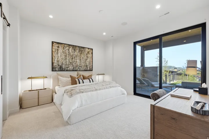 White carpeted flooring throughout, recessed ceiling lighting, sliding glass door with black trim, and barn door hardware