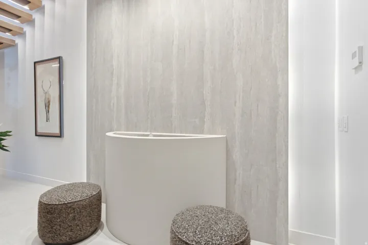 Accent wall with vertical paneling, recessed lighting, and a contemporary curved console