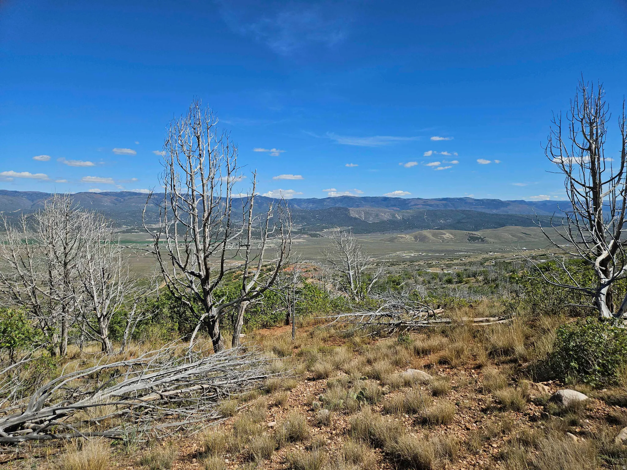 Expansive land featuring natural terrain with varied vegetation and distant mountain ranges