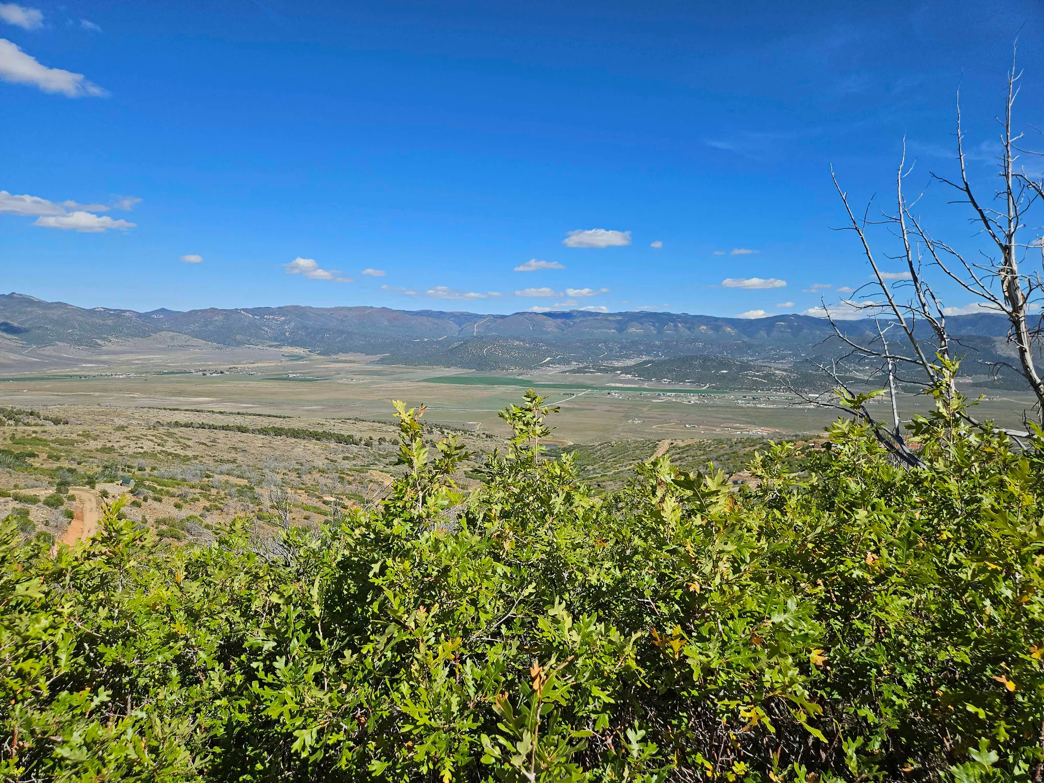 Expansive mountain range, natural green foliage, and distant valley