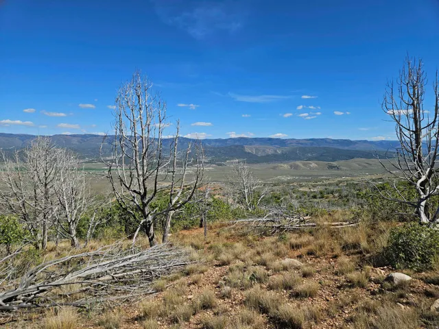 Expansive land featuring natural terrain with varied vegetation and distant mountain ranges