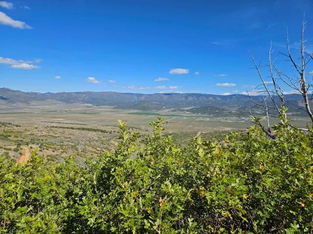 Expansive mountain range, natural green foliage, and distant valley