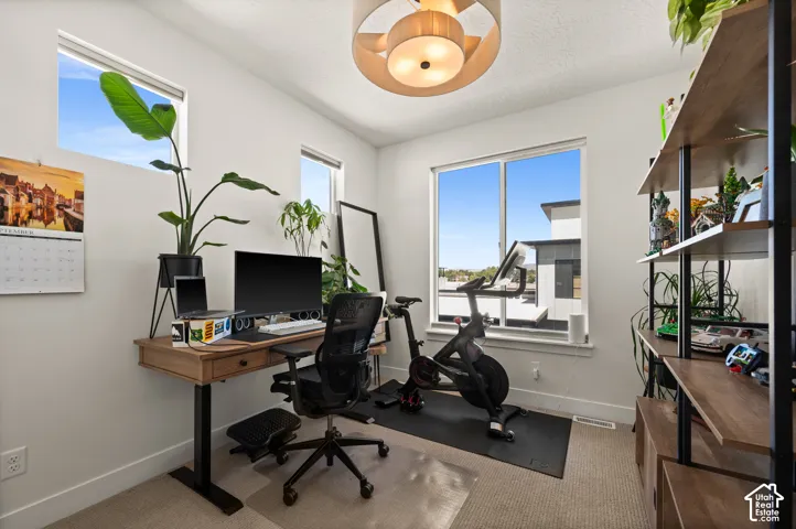 Third bedroom currently used as an office with multiple windows providing natural illumination, ceiling-mounted light fixture, light-toned wall finishes, and carpeted flooring