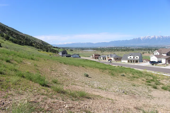 Expansive hillside lot with natural landscaping