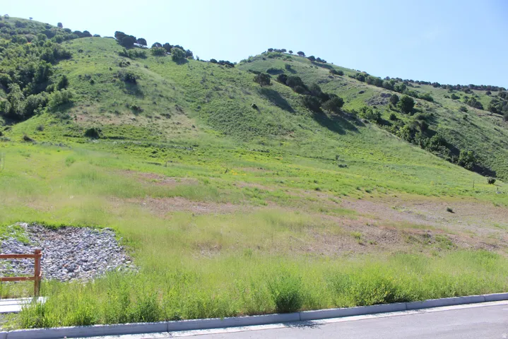Expansive undeveloped land featuring natural terrain and a paved road frontage