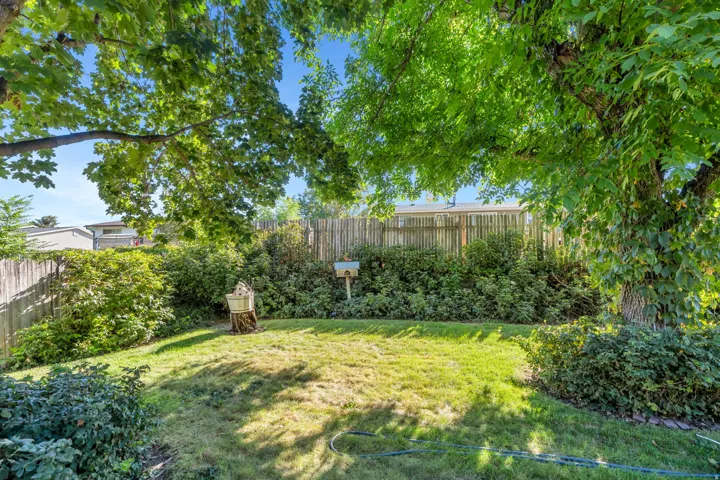 Expansive backyard with a manicured lawn, established trees, and mature perimeter landscaping