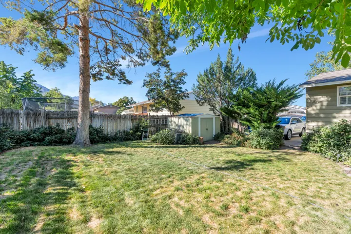 Expansive backyard with a manicured lawn, mature trees, and a wooden privacy fence